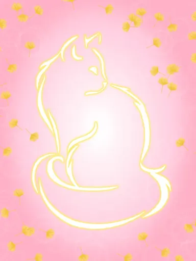 7.webp