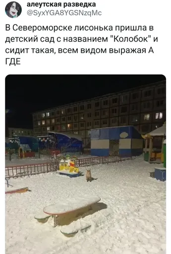 1703180922111688397.webp