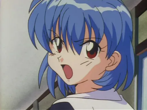 1.webp