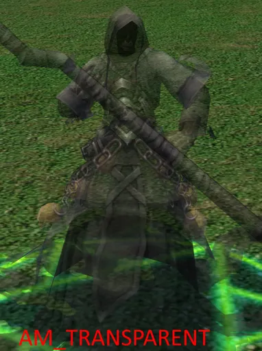 AM_TRANSPARENT.jpg