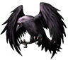 8.webp
