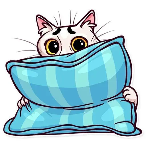 db-catp.webp