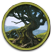 5.webp