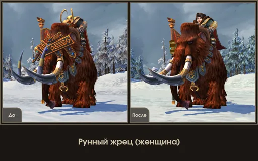 Рунный жрец (женщина).jpg