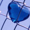 16.webp