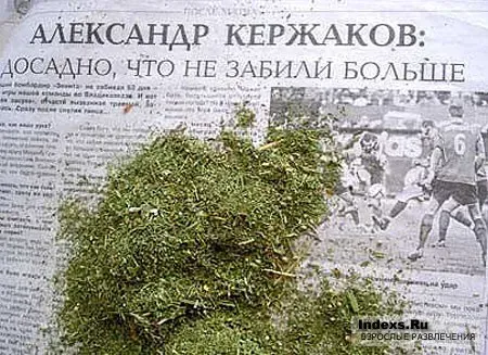 328584.webp