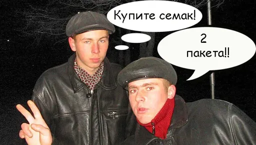 2.webp