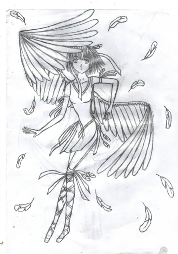 IMAGE0001.webp