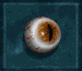 eagle_eye.gif