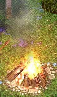 camp.jpg