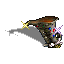 collapsible_12.gif