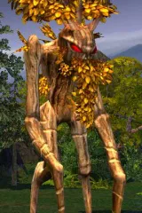 level12.jpg