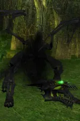 level14.jpg