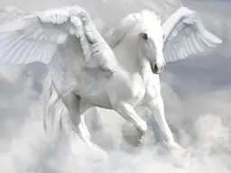 images (4).webp