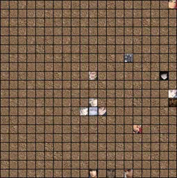 tournament copy 2.webp