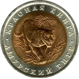 Амурский тигр.webp