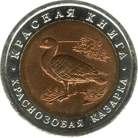 Краснозобая казарка.webp