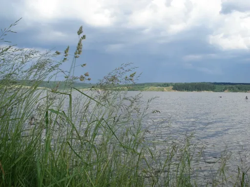 DSC00850_resize.webp