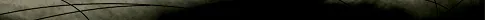 66.webp