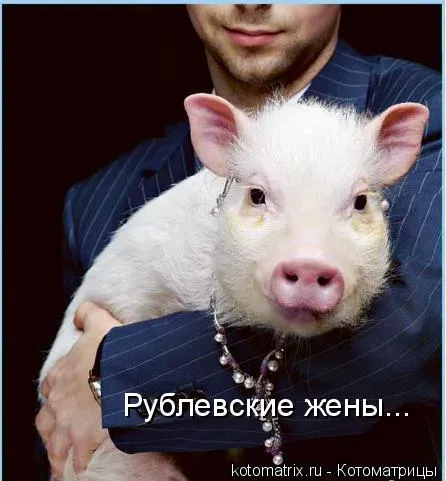 x.webp