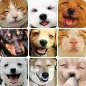 images.webp