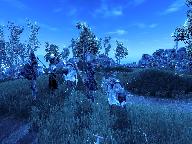 Волкодав, Черные стражи и Темный волшебник (магия ночного зрения)