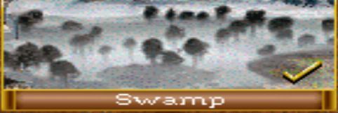 Swamp