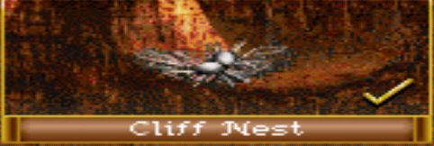 Cliff Nest